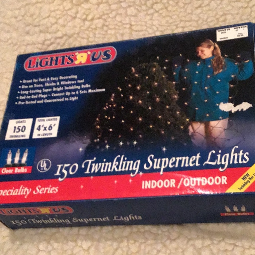 Indoor/outdoor Christmas twinkling supernet lights
